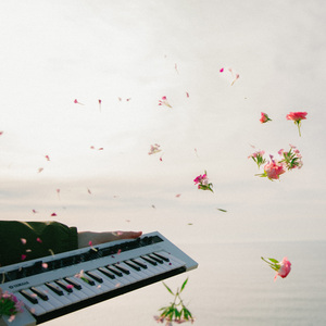 新加坡AV无码免费
